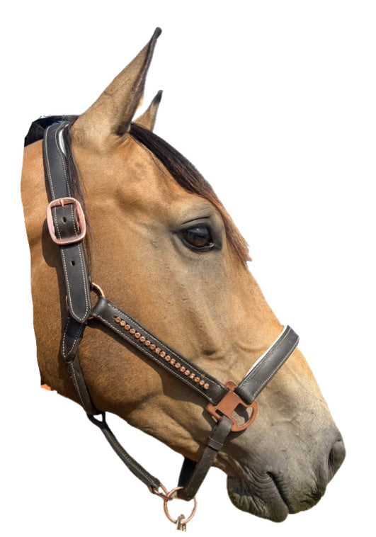 BOE Leather Head Collar Rosegold